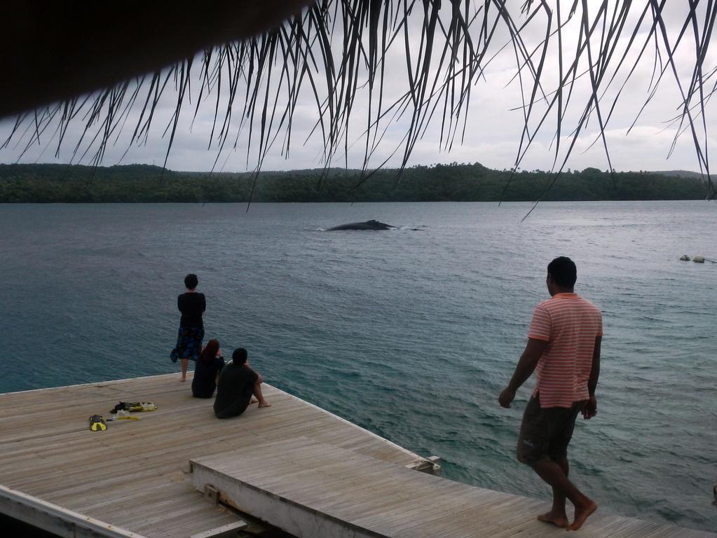 Tongan Beach Resort Utungake Экстерьер фото